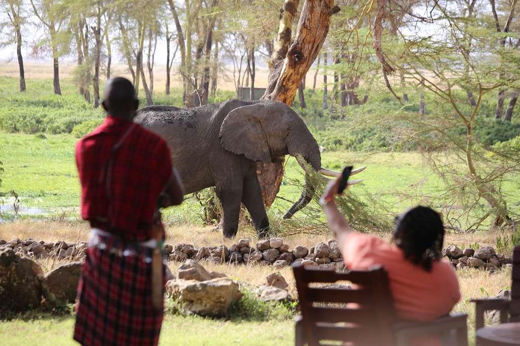 Amboseli Serena Safari Lodge Faciliteter billede